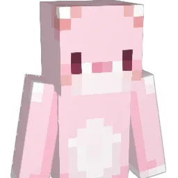 wa_r_r Minecraft avatar bust