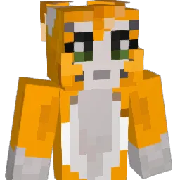 wackydonkey Minecraft avatar bust