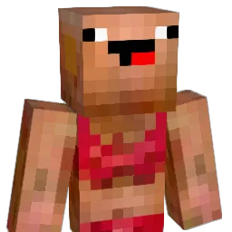 wafflemaker206's Minecraft skin
