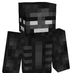 wajm17 Minecraft avatar bust