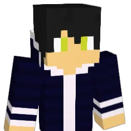 waka_042 Minecraft avatar bust