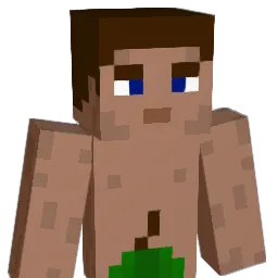 wakasuki Minecraft avatar bust