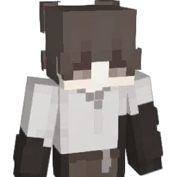 walid_1's Minecraft skin