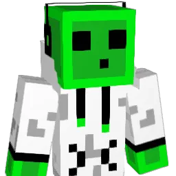 wammer1007 Minecraft avatar bust