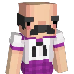 wangbang9 Minecraft avatar bust