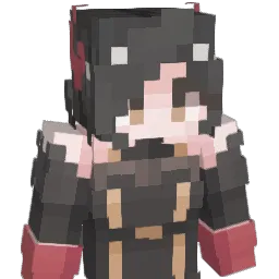 wangsang110's Minecraft skin