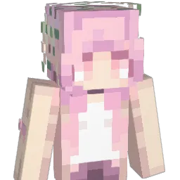 wangting555 Minecraft avatar bust
