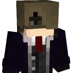 wanny9999 Minecraft avatar bust