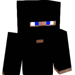 warbow5 Minecraft avatar bust