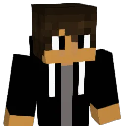 wardP123 Minecraft avatar bust