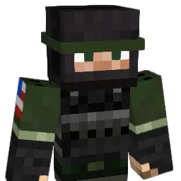 warleysa's Minecraft skin