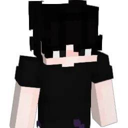 warsaw_power Minecraft avatar bust