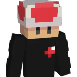 warzywko13 Minecraft avatar bust