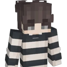 wasd2002317 Minecraft avatar bust