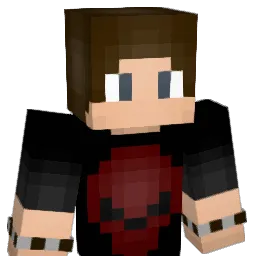 washburn808 Minecraft avatar bust
