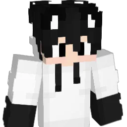 wasiq12w33 Minecraft avatar bust