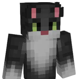 wassup1717 Minecraft avatar bust