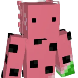 wat3rmeloncraft Minecraft avatar bust
