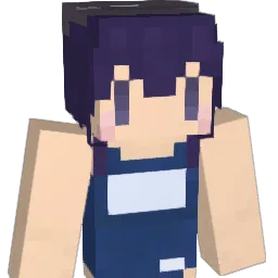 wata_net Minecraft avatar bust