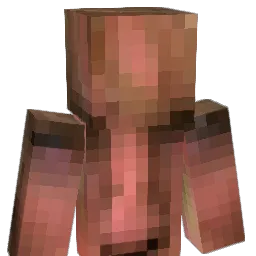 water6338 Minecraft avatar bust