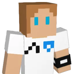 waterbison8 Minecraft avatar bust