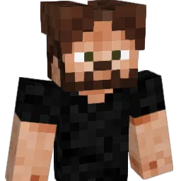 waze_FX Minecraft avatar bust