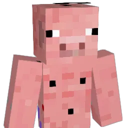 wcjdikd Minecraft avatar bust
