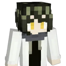 wcr520 Minecraft avatar bust