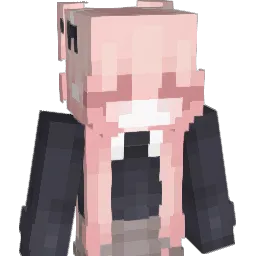 wdb150 Minecraft avatar bust