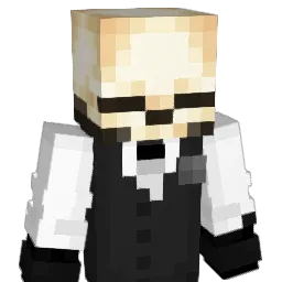 wdmNA Minecraft avatar bust
