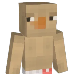 wdsint