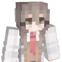 wdska Minecraft avatar bust