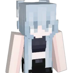 wdswyb Minecraft avatar bust