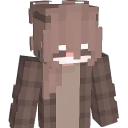 we_png Minecraft avatar bust