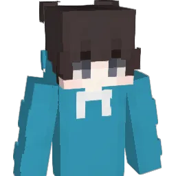 weather214 Minecraft avatar bust