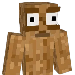 webh2344 Minecraft avatar bust