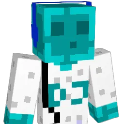 wee898 Minecraft avatar bust