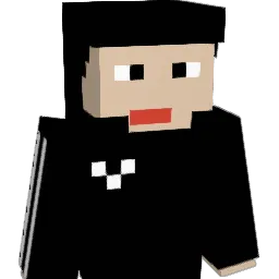 weh15672 Minecraft avatar bust