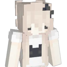 weii1101 Minecraft avatar bust