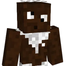 weijoo10 Minecraft avatar bust