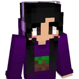 weirdpotato564 Minecraft avatar bust