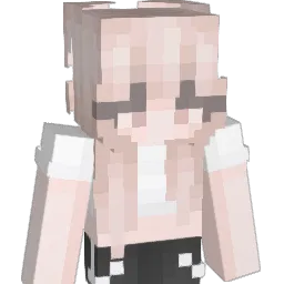 wellcook Minecraft avatar bust