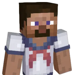 welldarnismyhero Minecraft avatar bust