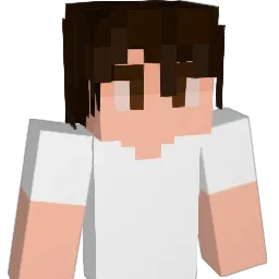 wellmanboys1 Minecraft avatar bust