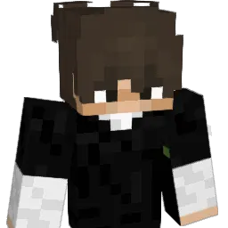 weln9's Minecraft skin
