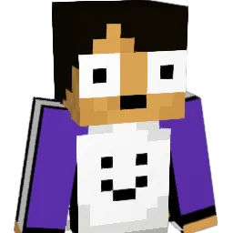 welnis25 Minecraft avatar bust