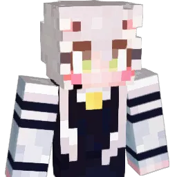 wer55498 Minecraft avatar bust
