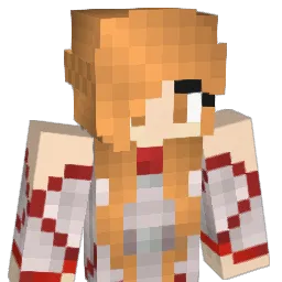 werD5109 Minecraft avatar bust