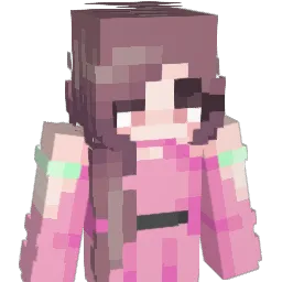 wera01's Minecraft skin