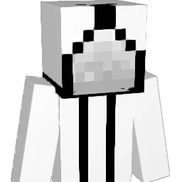 wereeereerw Minecraft avatar bust